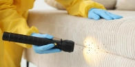 Behandeling van bedwantsen in WILLEBROEK 2830