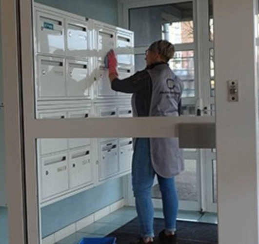 Schoonmaak van gemeenschappelijke ruimtes van gebouwen in Koekelberg 1081