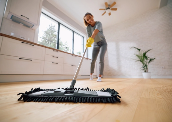 Schoonmaak van gemeenschappelijke ruimtes van gebouwen in EDEGEM 2650