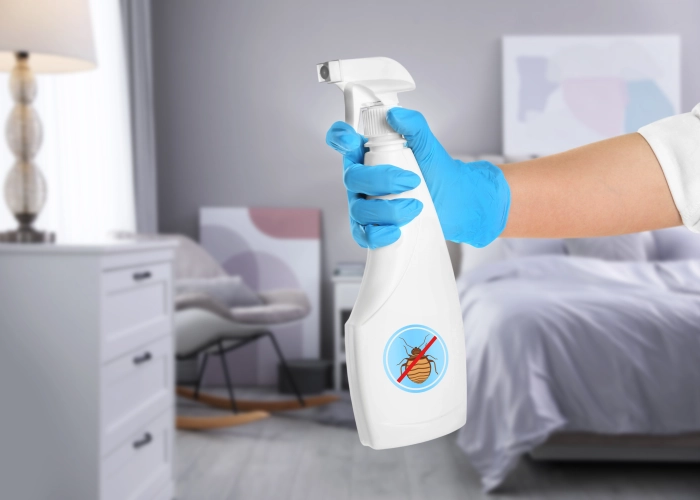 Behandeling van bedwantsen in MALDEGEM 9990